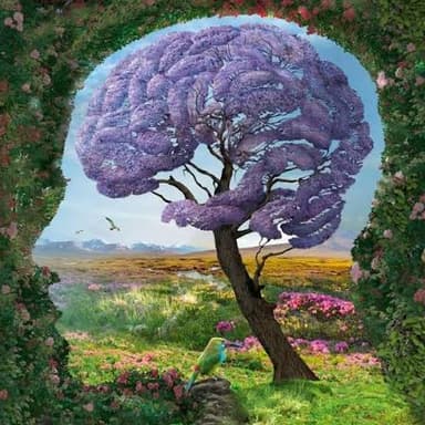 Nature Explanation